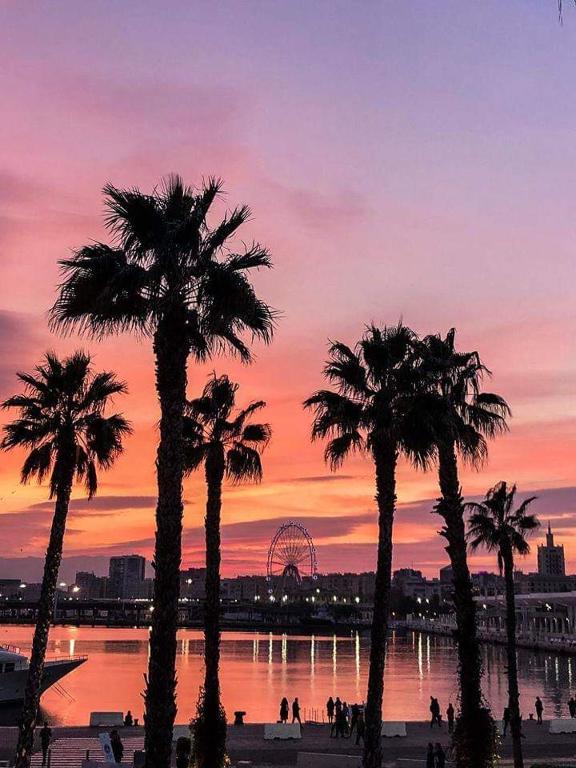 Encantador bajo en Málaga - 35