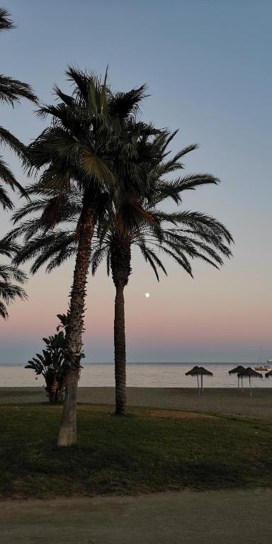 Encantador bajo en Málaga - 38