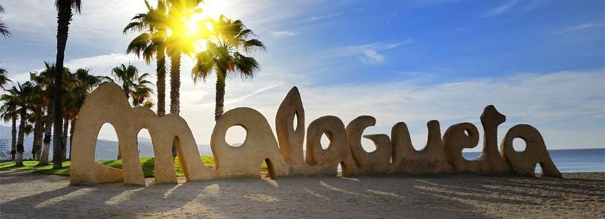 Encantador bajo en Málaga - 36