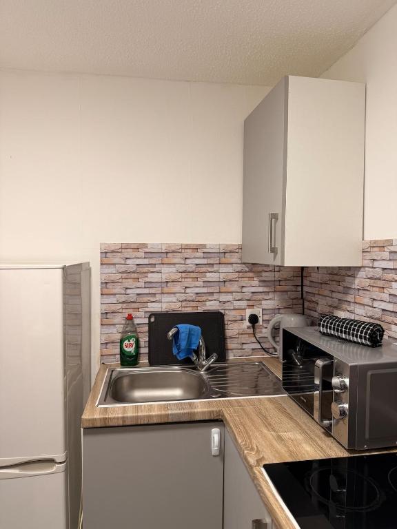 Flat in Manchester - Dudley's Dove - 18