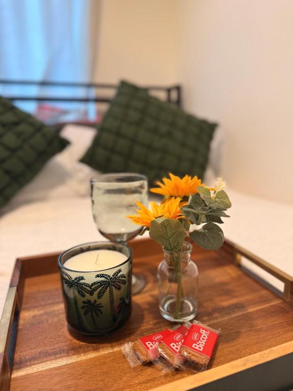 Flat in Manchester - Dudley's Dove - 4