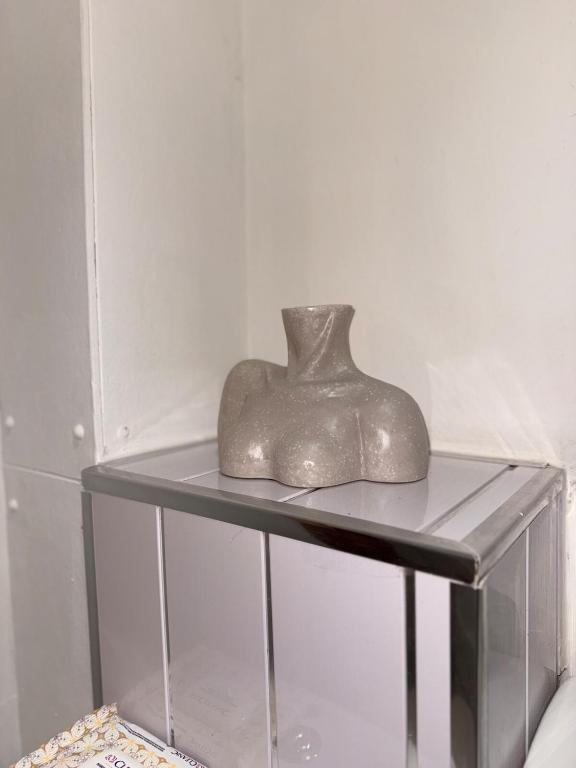 Flat in Manchester - Dudley's Dove - 14