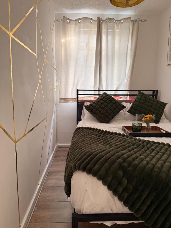 Flat in Manchester - Dudley's Dove - 2