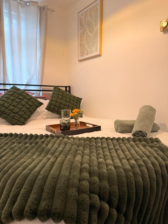 Flat in Manchester - Dudley's Dove - 10