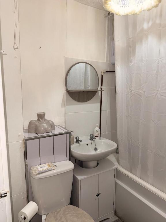 Flat in Manchester - Dudley's Dove - 3