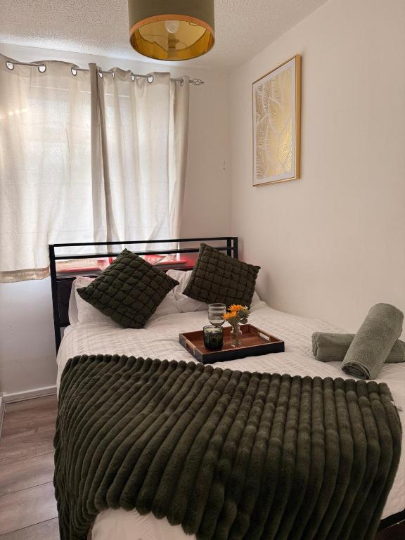 Flat in Manchester - Dudley's Dove - 9