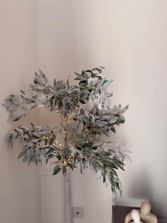 Flat in Manchester - Dudley's Dove - 17