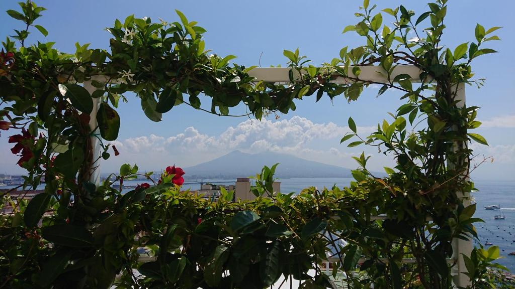 Grand Hotel Vesuvio - 13