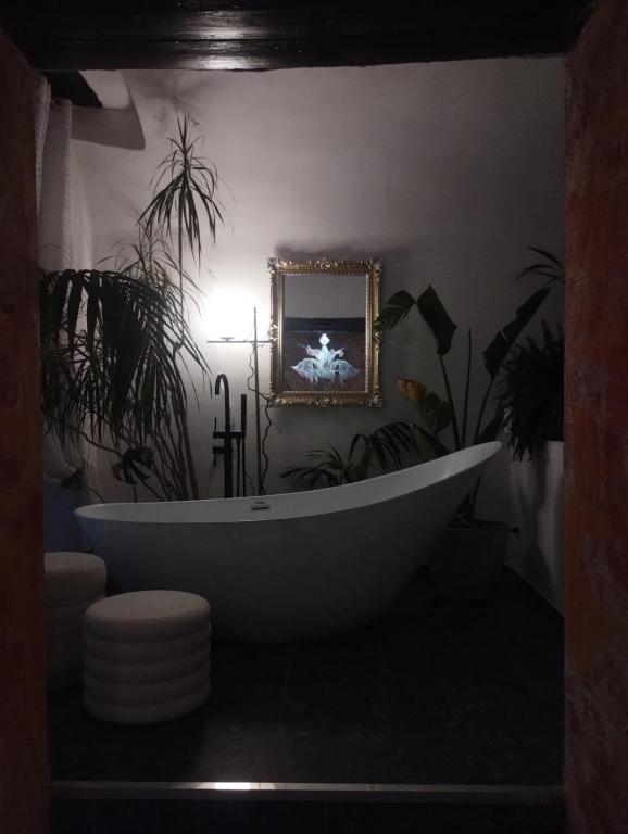 Plebiscito Suite Apartment - 43