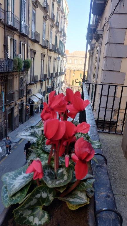 Plebiscito Suite Apartment - 18