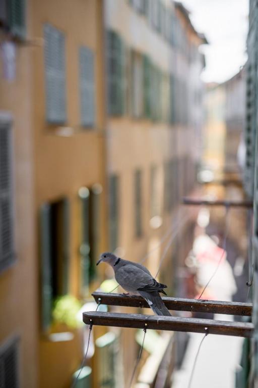 "L'Artist" by EnjoyNice, 2-room, airco, in Old Nice - 15