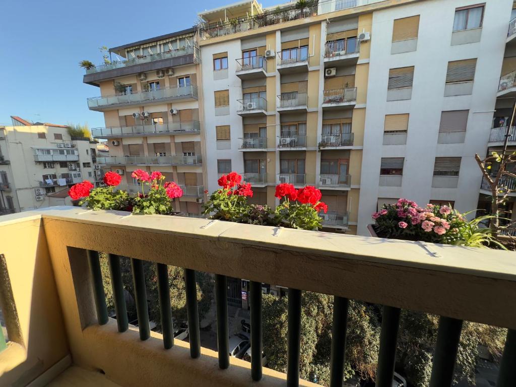 Appartamento centro - 35