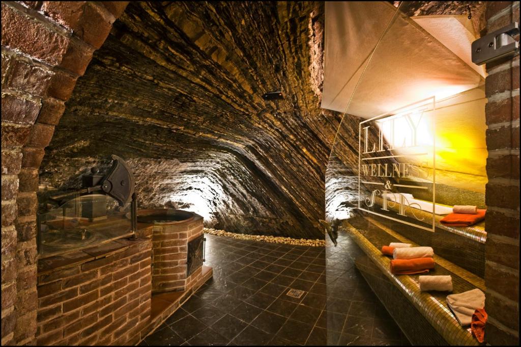 Hotel Hoffmeister - 24