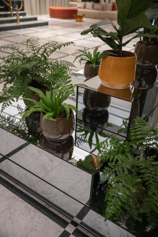 Almanac X Alcron Prague - 28