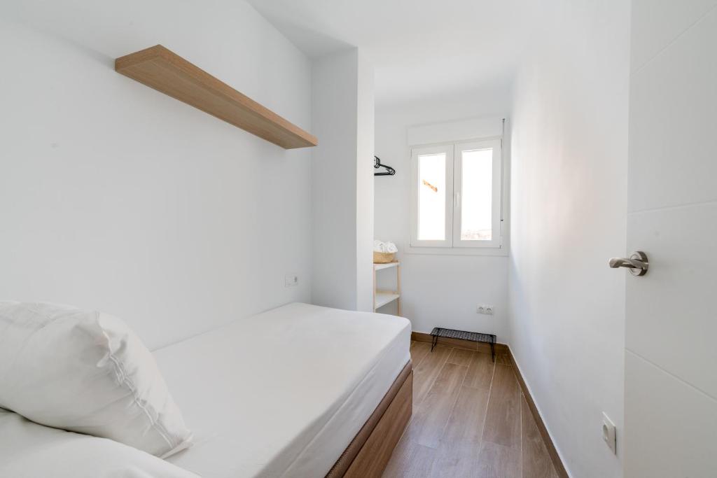 Holi-Rent Pureza - 24