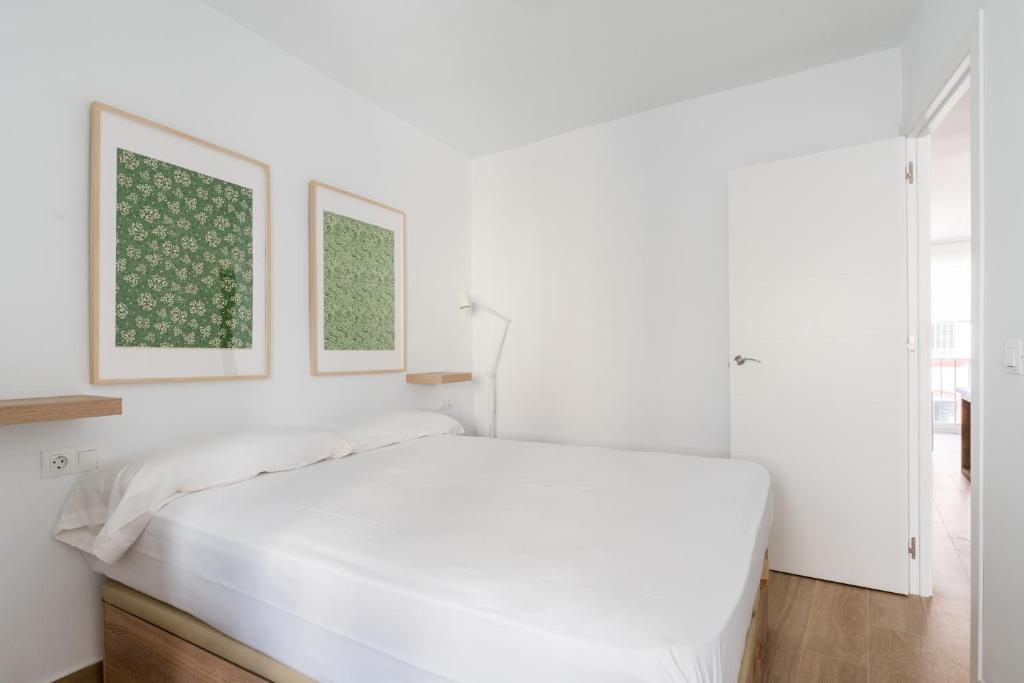 Holi-Rent Pureza - 27