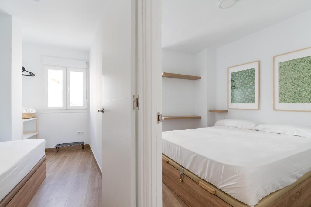 Holi-Rent Pureza - 36