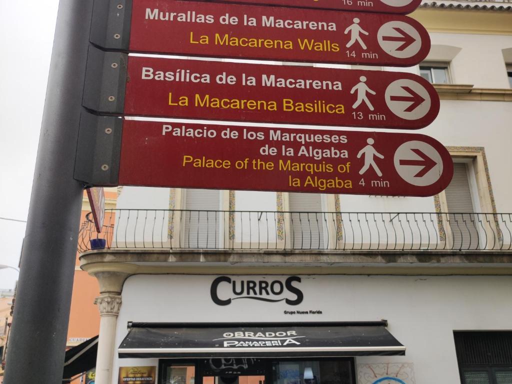 ESTUDIO RUFINA.Tranquilidad ,Alameda de Hércules! - 14