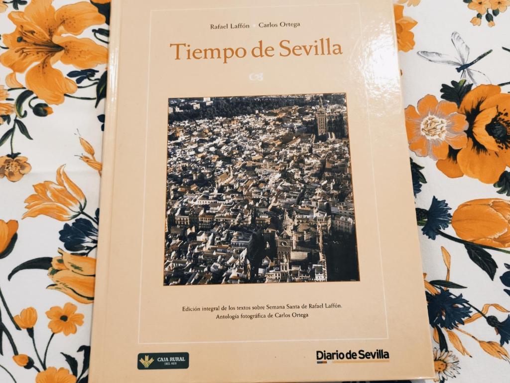 ESTUDIO RUFINA.Tranquilidad ,Alameda de Hércules! - 16