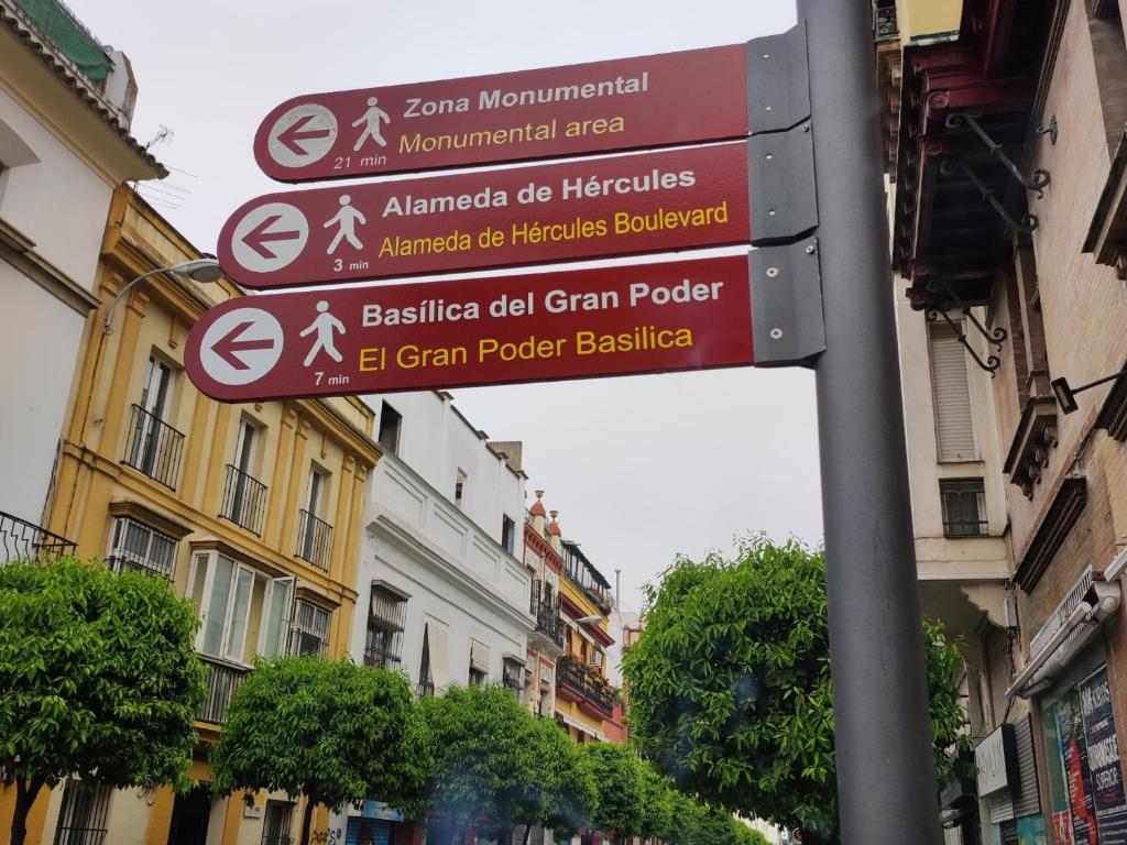 ESTUDIO RUFINA.Tranquilidad ,Alameda de Hércules! - 15