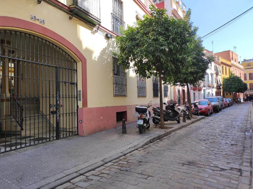 ESTUDIO RUFINA.Tranquilidad ,Alameda de Hércules! - 12