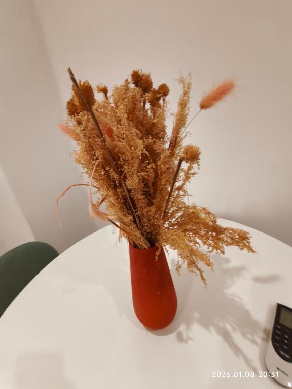 Le Cocon de Strasbourg Centre, proche Parlement Européen - 19