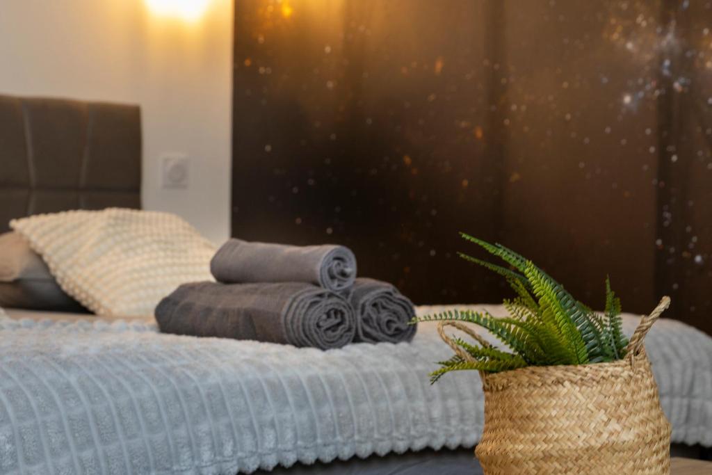 L'étoilé Strasbourg Jacuzzi Détente & Confort - 10