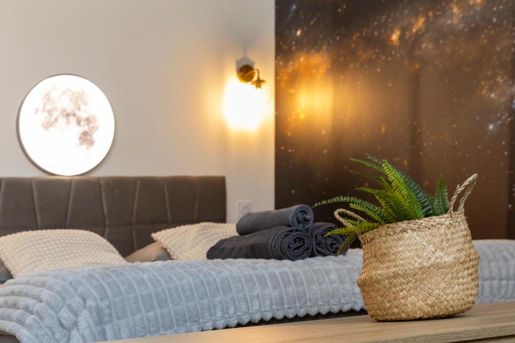 L'étoilé Strasbourg Jacuzzi Détente & Confort - 23