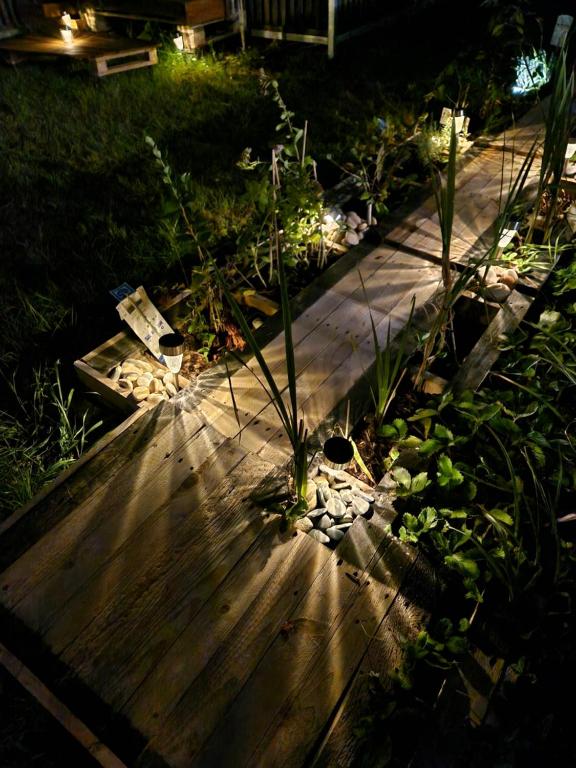 Escale Romantique - 35