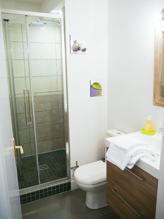 Studio Premium Zénith Arènes Purpan - 8