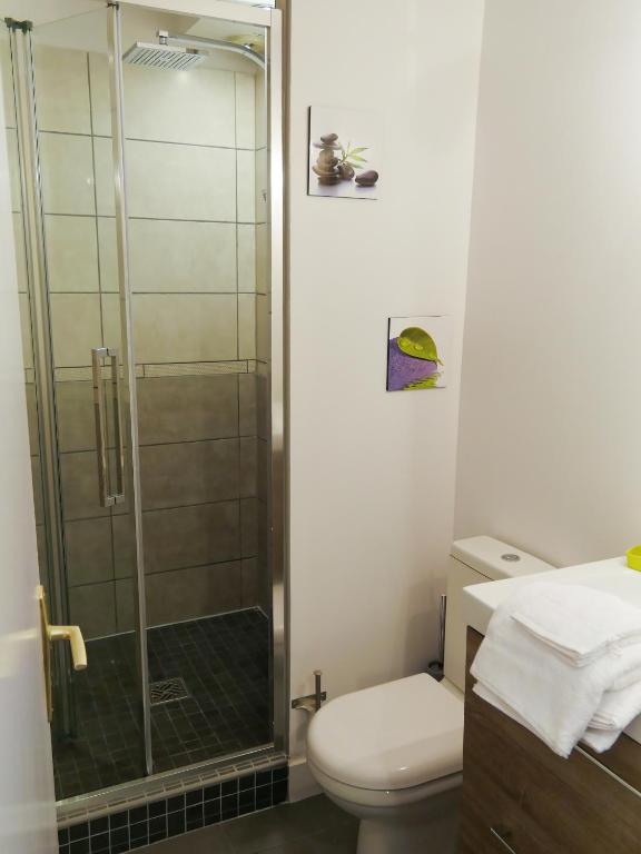 Studio Premium Zénith Arènes Purpan - 10