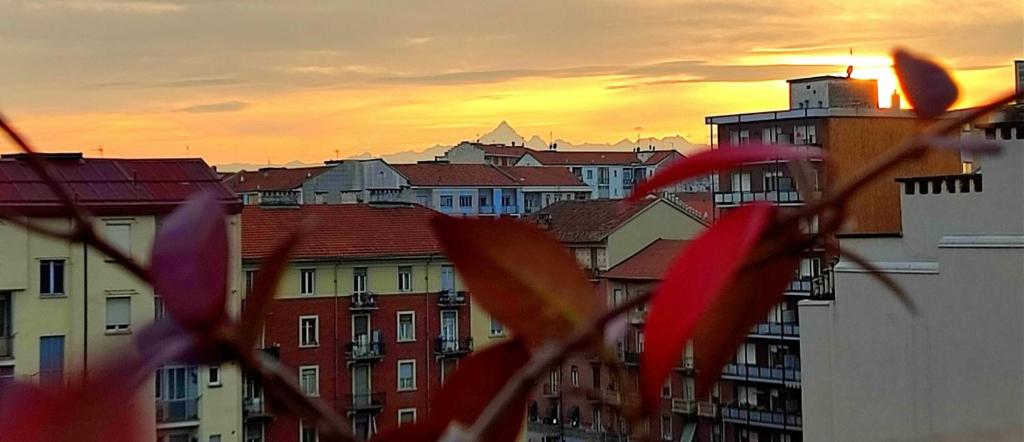 L'attico di Giulia - 12