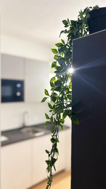 Modern Urban Escape - 16