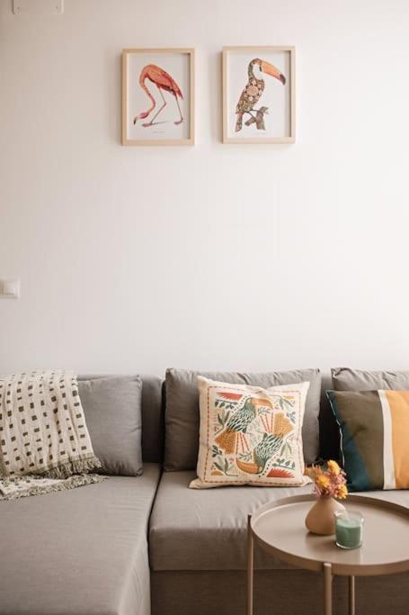 Lofts plaza JM Orense B - 23