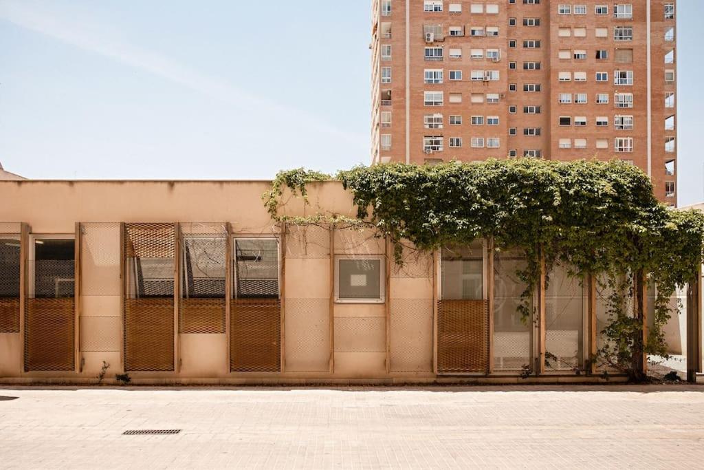 Lofts plaza JM Orense B - 31