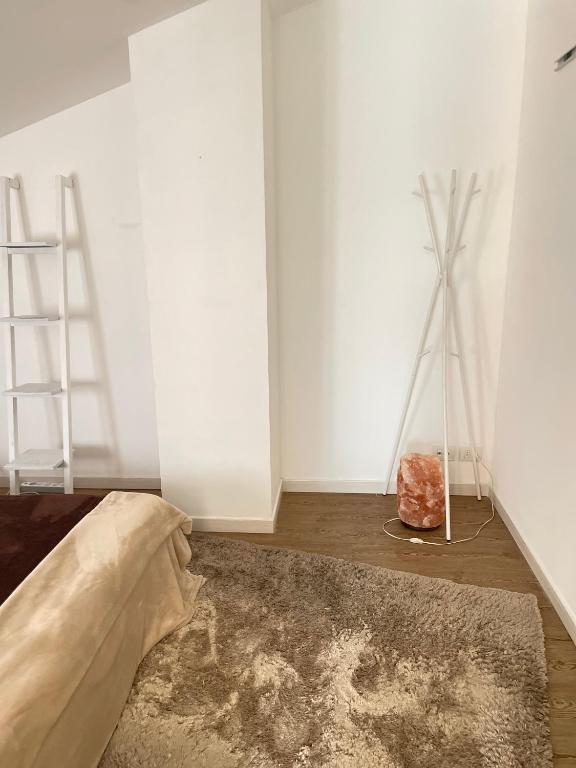 Roof Pellegrini - 29