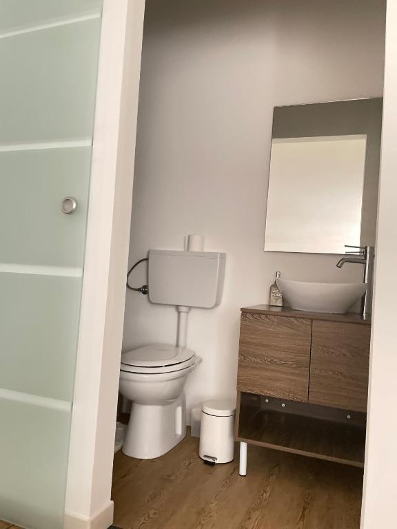 Roof Pellegrini - 25