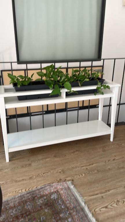 Roof Pellegrini - 11