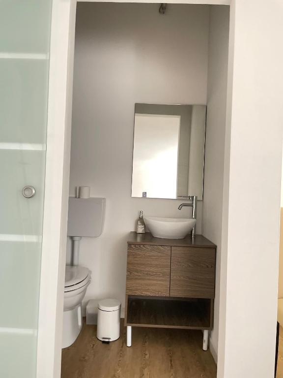 Roof Pellegrini - 24