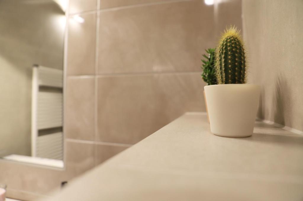 Stelle di Verona - Selene - 42