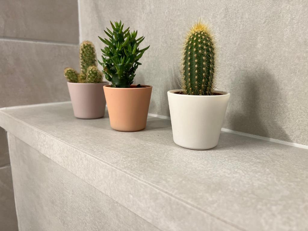 Stelle di Verona - Selene - 18