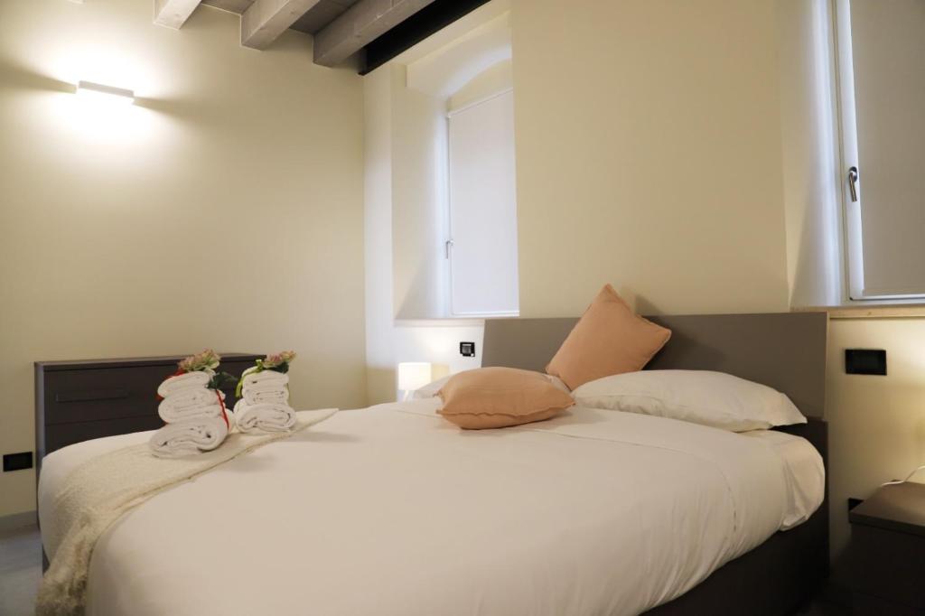 Stelle di Verona - Vega - 2