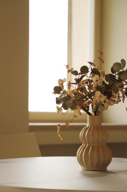 Stelle di Verona - Vega - 35