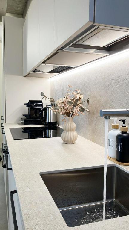 Stelle di Verona - Vega - 17