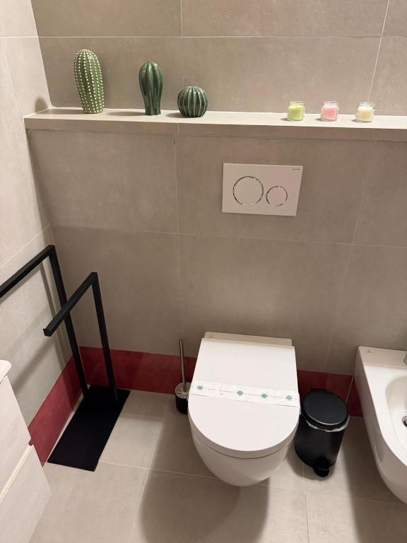 Stelle di Verona - Vega - 30