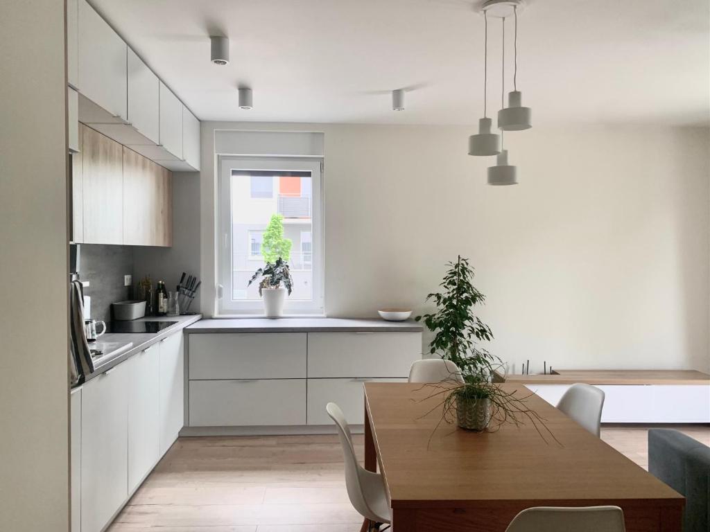 Przytulne mieszkanie w cichej okolicy - 6