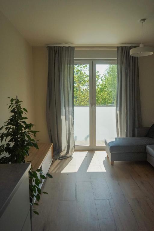 Przytulne mieszkanie w cichej okolicy - 2