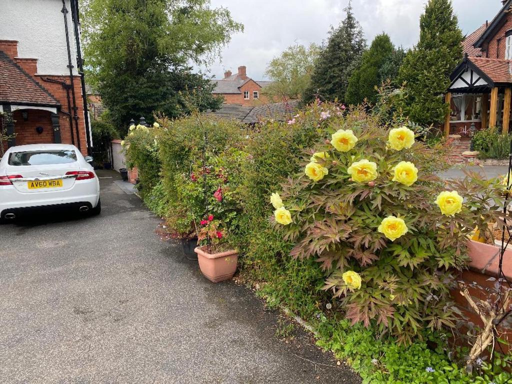 Chester House Guest House - 45