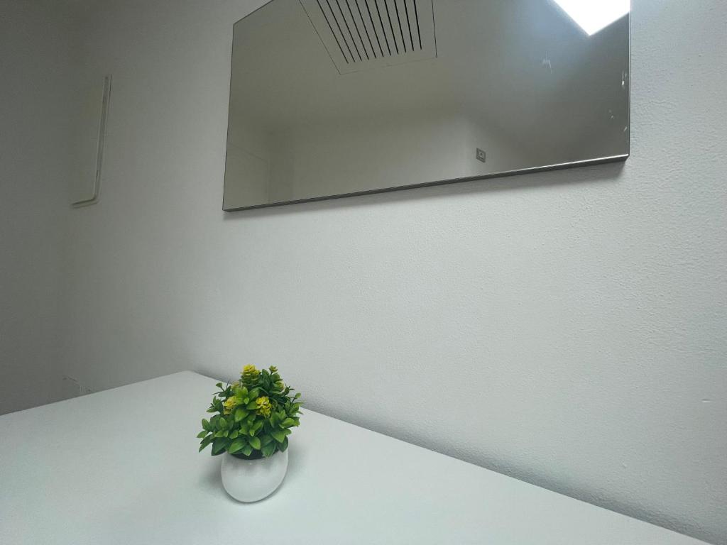 BG Central Excelsior Suite - 30