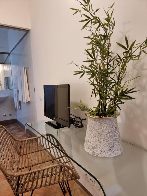 Casa Algarbe - 37